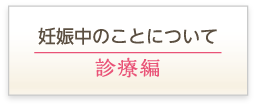 妊娠中のことについて [ 診療編 ]